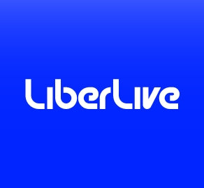 LiberLive Fusion Guitar C1 ケース付き RBX LP Style Guitar Gig Bag