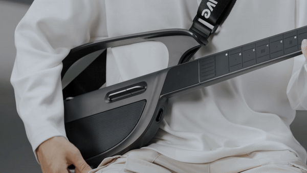 Dual Customizable Paddles