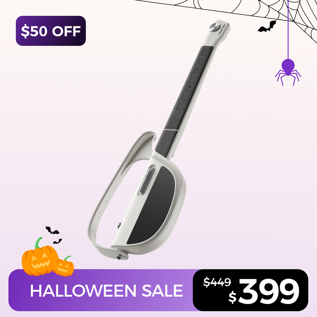 LiberLive Fusion Guitar ケース付き LiberLive Fusion Guitar ケース